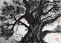 encre de chine_0015